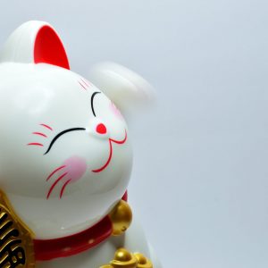 japanese lucky coin cat
